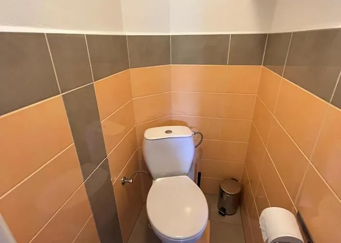 C Luhacovice Homestay *